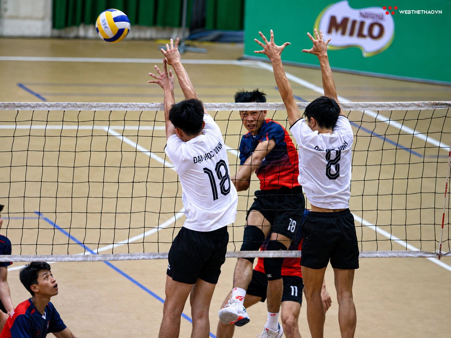 ChatGPT Image 16_24_51 12 thg 8, 2026 (10).jpg