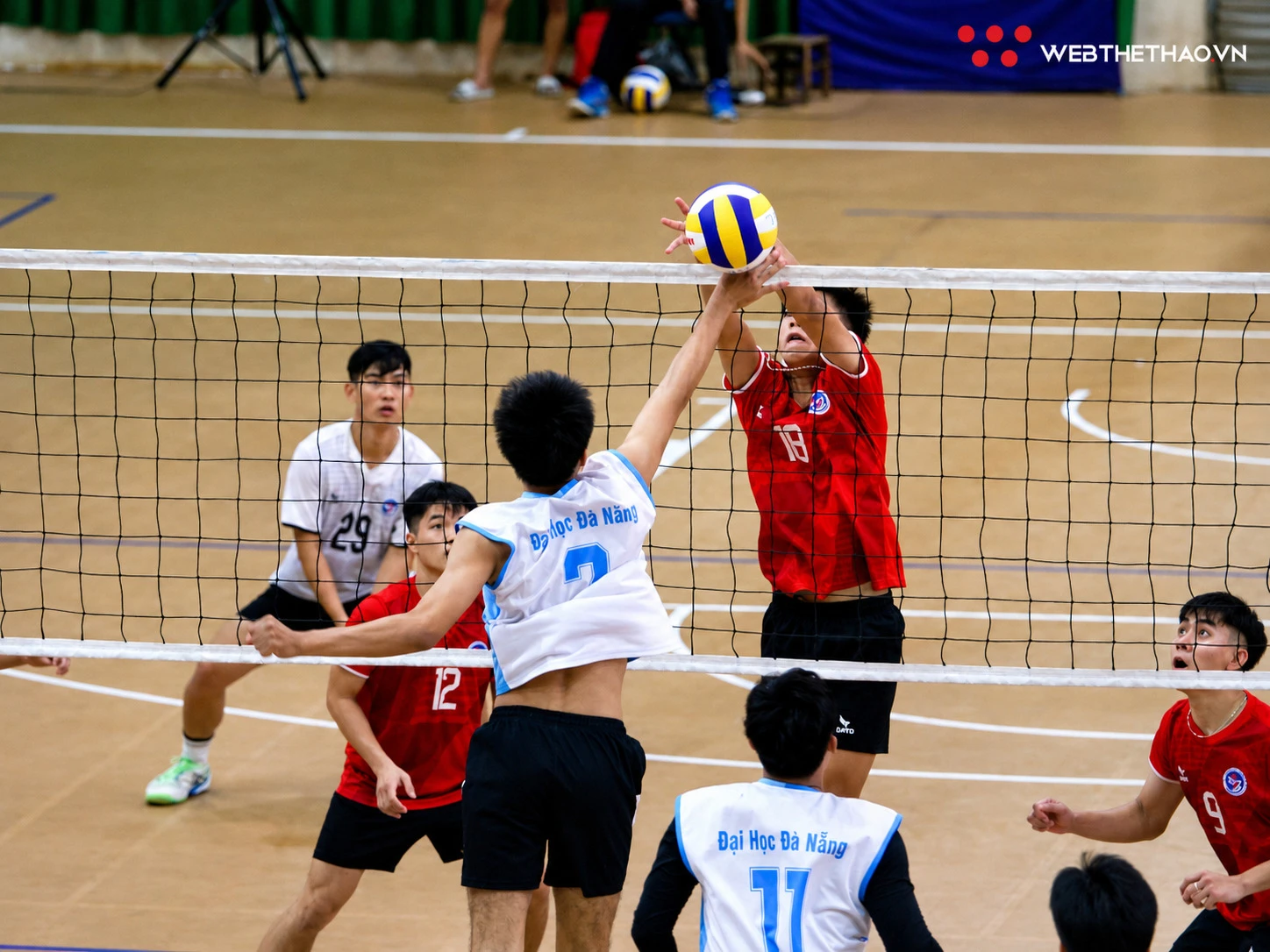 53015390-74a2-4641-b983-1442c56b76f6.jpg