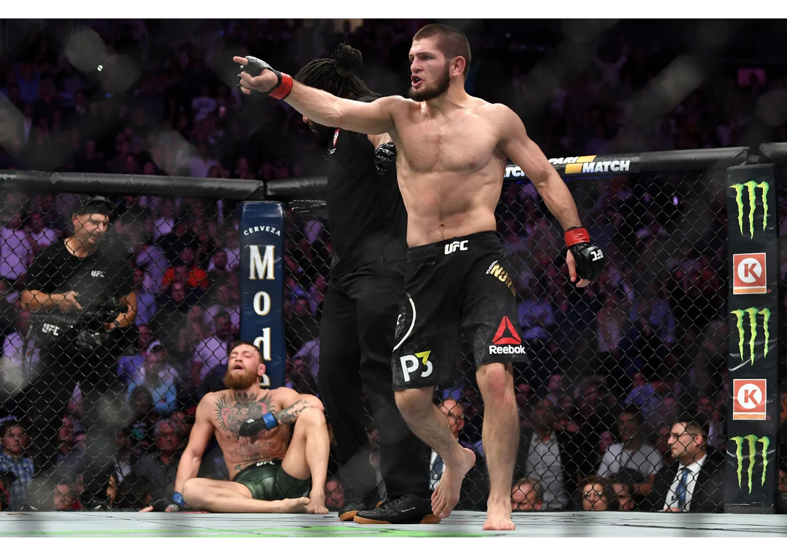 Hình ảnh Khabib đứng dậy chỉ thẳng mặt đội đối thủ ở dưới sàn đấu trong khi McGregor còn chưa hoàn hồn sau cú khóa siết quá nhanh của đại bàng Dagestan